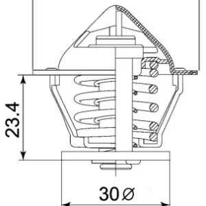 Termostat, płyn chłodzący BORGWARNER (WAHLER) 4007.80D Nie przegap
