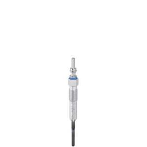 Zamów teraz Świeca żarowa BORGWARNER (BERU) GN1017