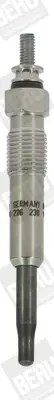 Popularny Świeca żarowa BORGWARNER (BERU) GN999