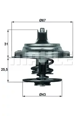 Termostat, płyn chłodzący BEHR THERMOT-TRONIK TX 23 75D Kup online