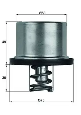 Termostat, płyn chłodzący BEHR THERMOT-TRONIK TX 37 79 Oferta