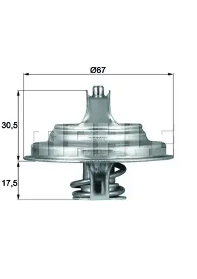 Wybór klientów Termostat, płyn chłodzący BEHR THERMOT-TRONIK TX 54 71D