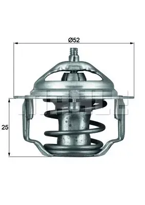 Zamów teraz Termostat, płyn chłodzący BEHR THERMOT-TRONIK TX 64 88