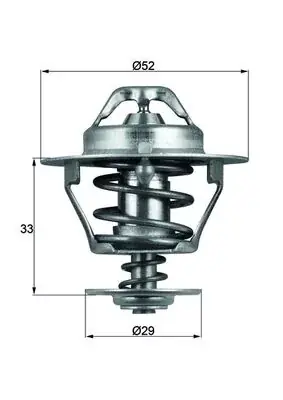 Ostatnie sztuki Termostat, płyn chłodzący BEHR THERMOT-TRONIK TX 77 88D