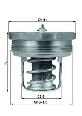 Termostat, płyn chłodzący BEHR THERMOT-TRONIK TX 89 83 Sprawdź teraz