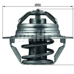 Zamów teraz Termostat, płyn chłodzący MAHLE TX 100 89D