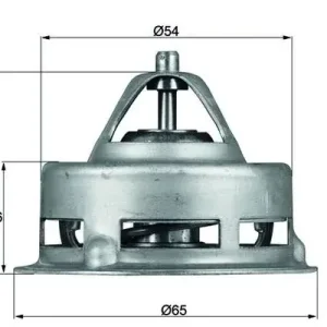 Termostat, płyn chłodzący MAHLE TX 2 79 Taniej