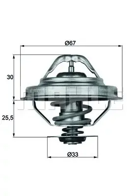 Nie przegap Termostat, płyn chłodzący MAHLE TX 28 92D