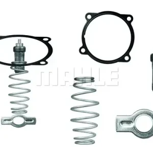 Termostat, płyn chłodzący MAHLE TX 51 79D Kup teraz