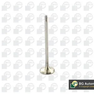 Zawór wydechowy BGA V095110 Oferta czasowa