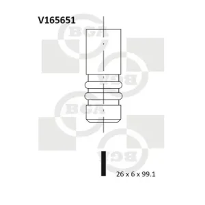Zawór wydechowy BGA V165651 Wybór klientów