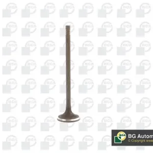 Zawór wydechowy BGA V230711 Oferta limitowana