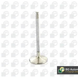 Zawór wydechowy BGA V560202 Łatwy zwrot