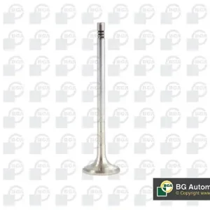 Wyjątkowa oferta Zawór wydechowy BGA V561128