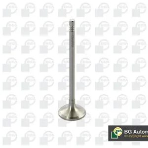 Zawór dolotowy BGA V591500 Wyjątkowa oferta